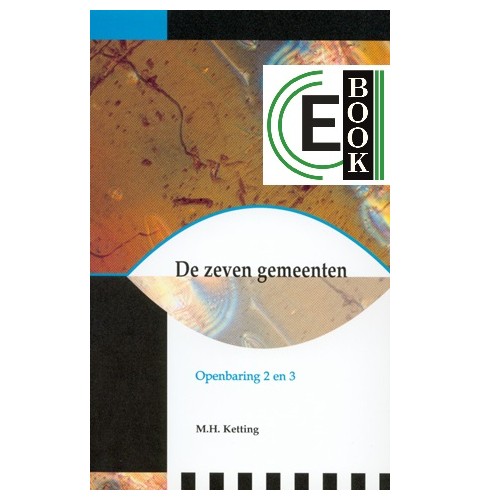 De zeven gemeenten (e-book)