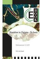 Wandelen in Christus - De basis (e-book)