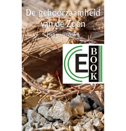 De gehoorzaamheid van de Zoon (e-book)
