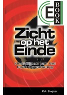 Zicht op het einde (e-book)