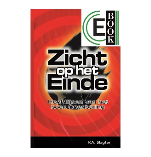 Zicht op het einde (e-book)