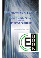 De fundamentele betekenis van de opstanding (e-book)