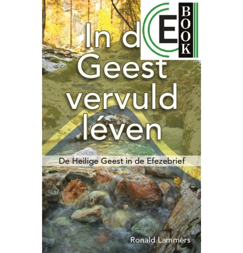 In de Geest vervuld léven (e-book)