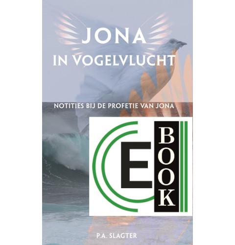 Jona in vogelvlucht (e-book)