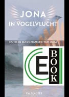 Jona in vogelvlucht (e-book)