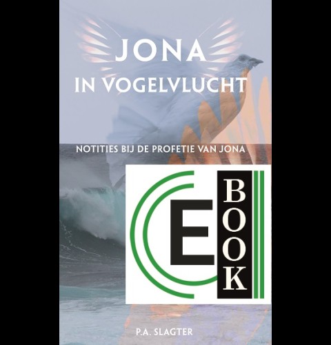 Jona in vogelvlucht (e-book)