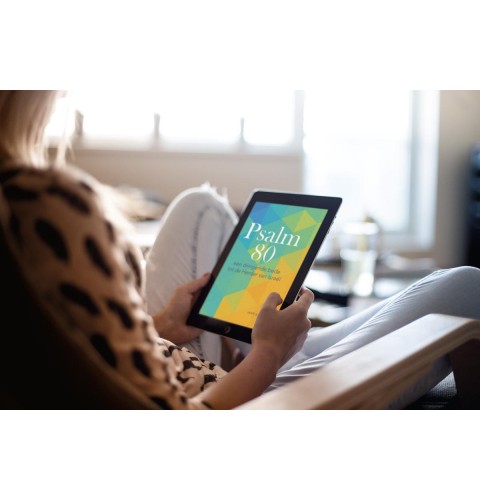 Alle e-books in één pakket
