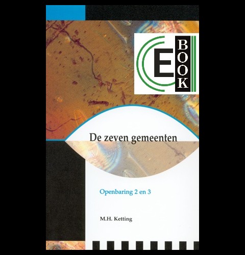 De zeven gemeenten (e-book)