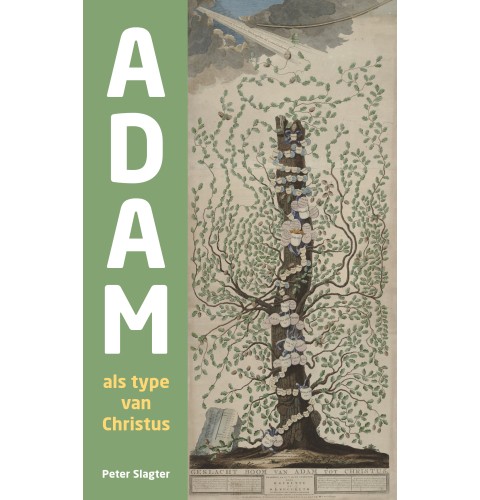 Adam als type van Christus