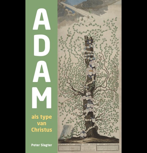 Adam als type van Christus
