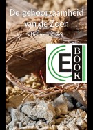 De gehoorzaamheid van de Zoon (e-book)