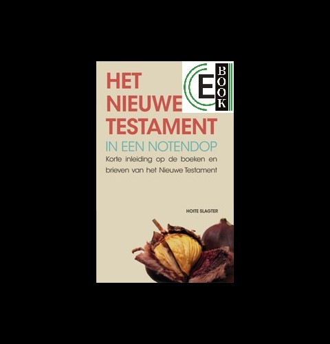 Het Nieuwe Testament in een notendop (e-book)
