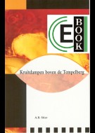 Kruitdampen boven de Tempelberg (e-book)