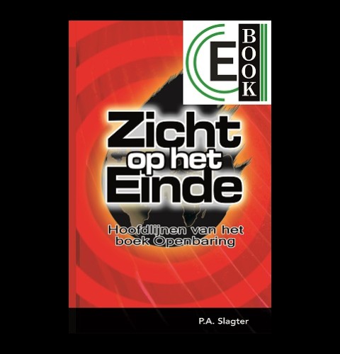 Zicht op het einde (e-book)
