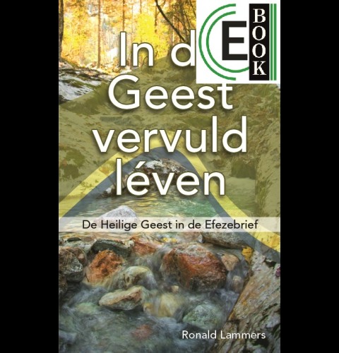 In de Geest vervuld léven (e-book)