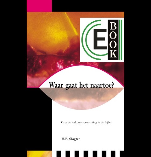 Waar gaat het naartoe (e-book)
