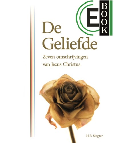 De Geliefde (e-book)