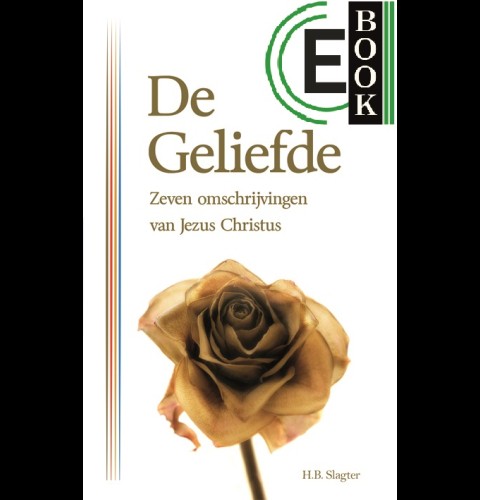 De Geliefde (e-book)